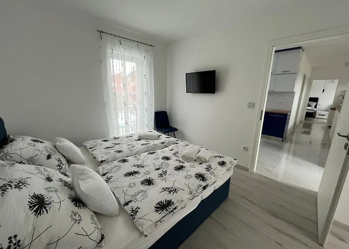 Zita ボニャルツバシュ